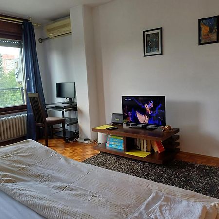 Apartment Student City, Wifi 300Mbs 베오그라드 외부 사진